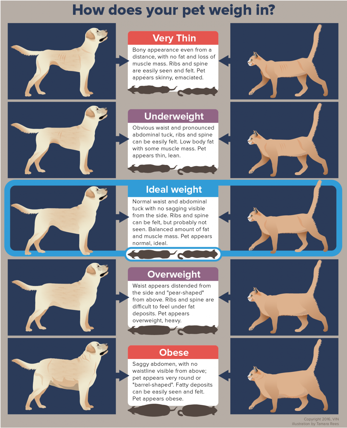 How does your pet weigh in? infographic